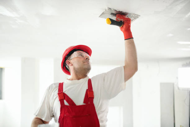 Best Trim and Molding Painting  in Temecula, CA